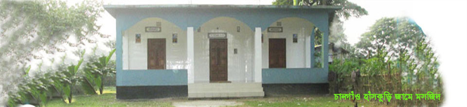 চানগাঁও হাঁসকুড়ি জামে মসজিদ