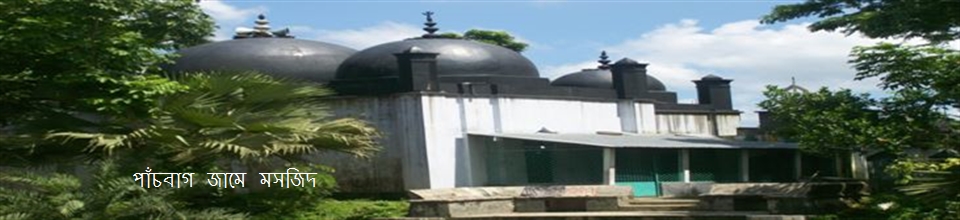 Panchbagh Jami Mosque