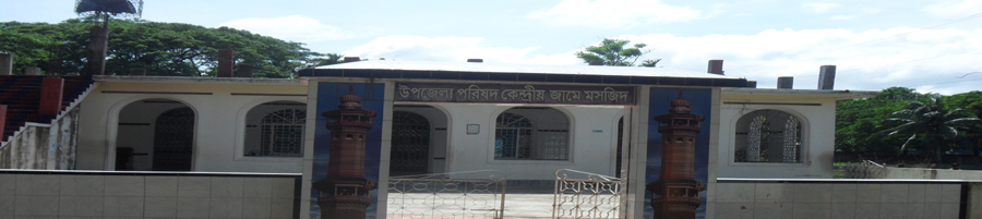 Upazila Parishad Kendri Jami Mosque