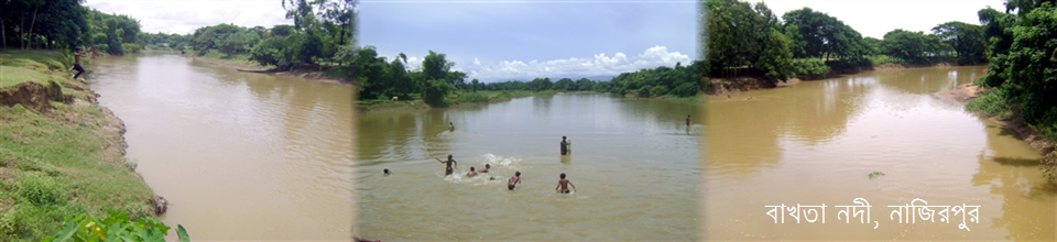 বাখতা নদী, নাজিরপুর